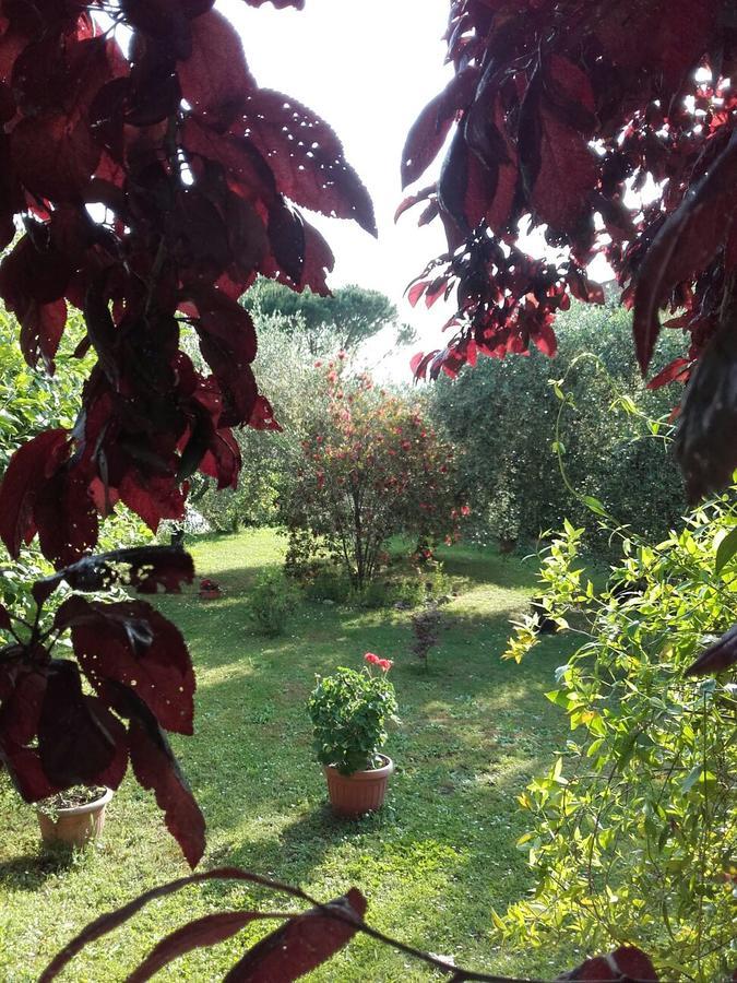 Apartmán Aliso' Sarzana Exteriér fotografie