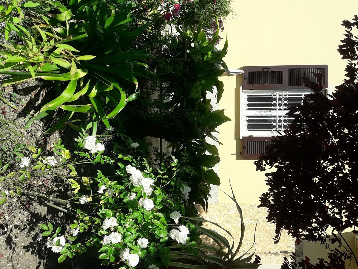 Apartmán Aliso' Sarzana Exteriér fotografie